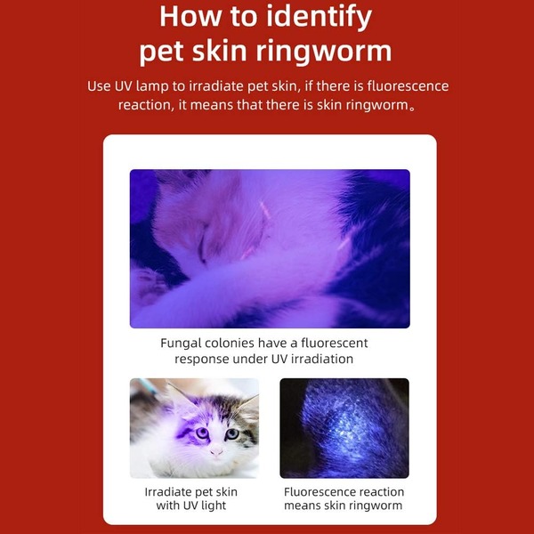 SUPERFIRE S11-H Rechargeable Flashlight - 2000 Lumens LED